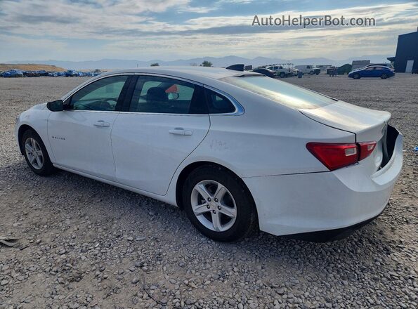 1G1ZC5ST7PF156586 2023 CHEVROLET MALIBU White Tył lewy