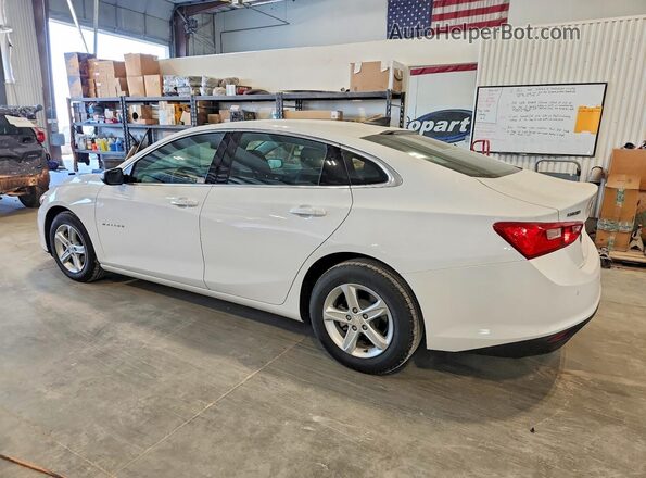 1G1ZC5ST7PF210422 2023 CHEVROLET MALIBU White Задня ліва чверть