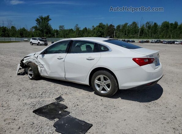 1G1ZC5ST9RF147617 2024 CHEVROLET MALIBU White Tył lewy