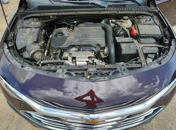 1G1ZD5ST0LF083116 2020 CHEVROLET MALIBU Brown Սալոնի հետևի տեսք