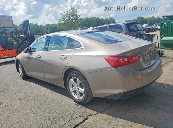 1G1ZD5ST0RF153156 2024 CHEVROLET MALIBU Желто-коричневый Задняя левая четверть