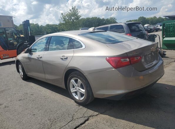 1G1ZD5ST0RF153156 2024 CHEVROLET MALIBU Желто-коричневый Панорамный вид салона 360°