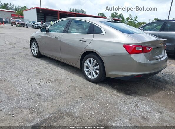1G1ZD5ST1PF224202 2023 CHEVROLET MALIBU Beige Задня ліва чверть