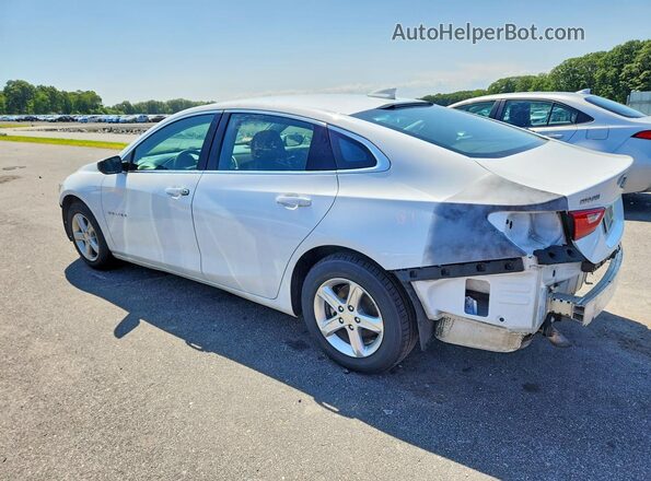 1G1ZD5ST2PF244099 2023 CHEVROLET MALIBU Белый Задняя левая четверть