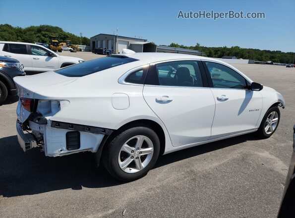 1G1ZD5ST2PF244099 2023 CHEVROLET MALIBU Белый 
