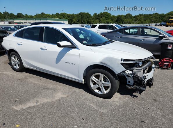 1G1ZD5ST2PF244099 2023 CHEVROLET MALIBU Белый 