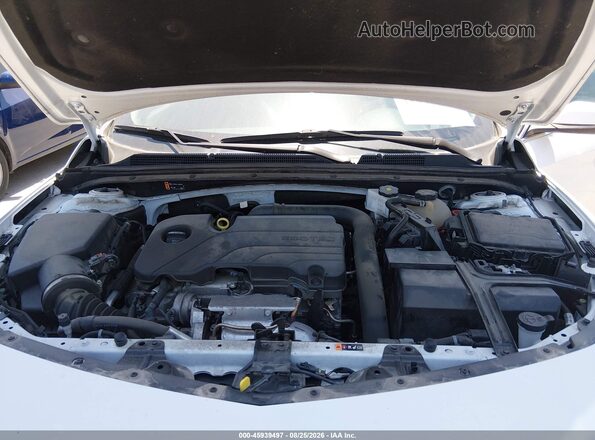 1G1ZD5ST2RF163722 2024 CHEVROLET MALIBU White Widok z tyłu