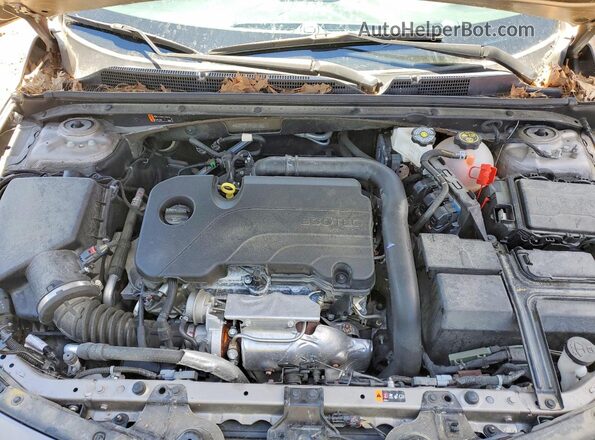 1G1ZD5ST3PF197147 2023 CHEVROLET MALIBU Tan Սալոնի հետևի տեսք
