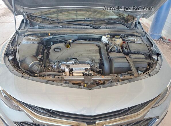 1G1ZD5ST3PF218529 2023 CHEVROLET MALIBU Gray Սալոնի հետևի տեսք