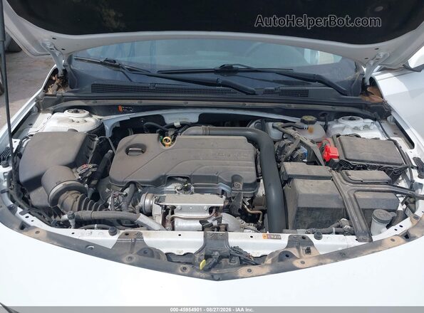 1G1ZD5ST4MF023065 2021 CHEVROLET MALIBU Белый Вид сзади