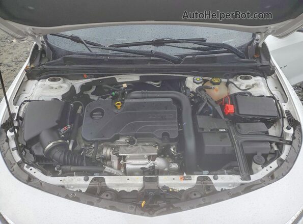 1G1ZD5ST4PF201531 2023 CHEVROLET MALIBU White უკანა სალონის ხედი