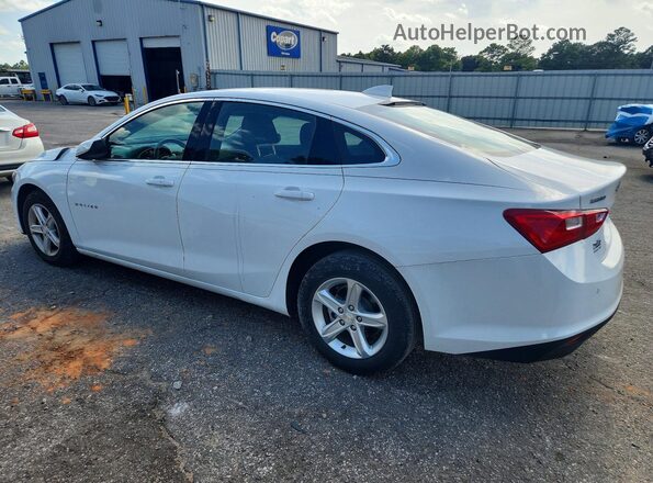 1G1ZD5ST4RF162166 2024 CHEVROLET MALIBU White უკანა მარცხენა