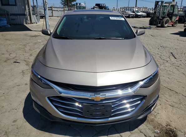 1G1ZD5ST4RF179503 2024 CHEVROLET MALIBU Gold Vista frontal