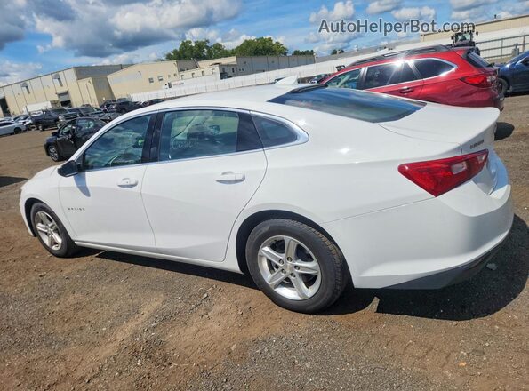 1G1ZD5ST5PF176025 2023 CHEVROLET MALIBU White Trasero izquierdo