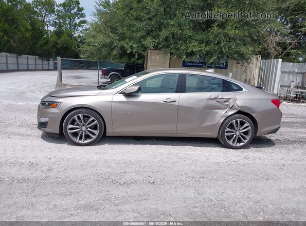 1G1ZD5ST5SF150890 2025 CHEVROLET MALIBU Champagne Панорамний вид салону 360°
