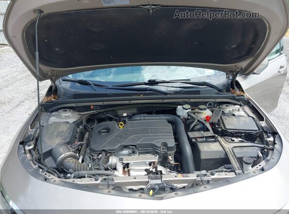 1G1ZD5ST5SF150890 2025 CHEVROLET MALIBU Champagne Вид ззаду