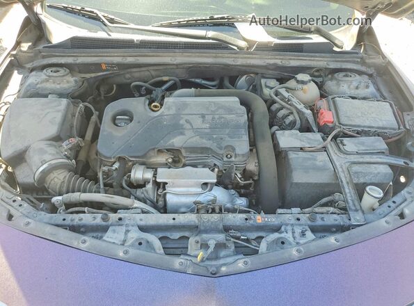 1G1ZD5ST6LF069737 2020 CHEVROLET MALIBU Purple უკანა სალონის ხედი