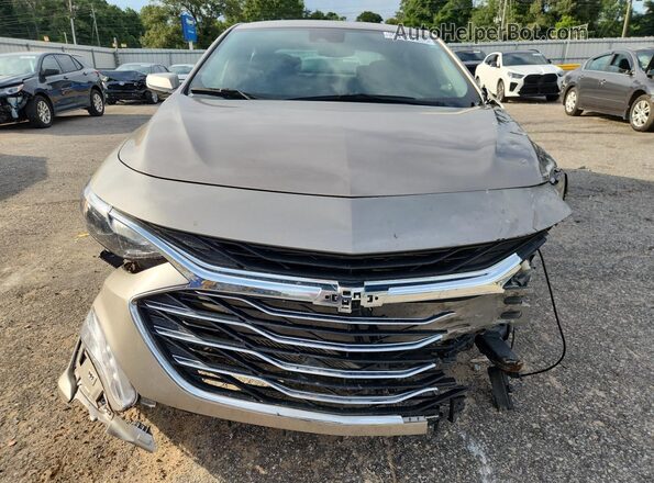 1G1ZD5ST6RF168289 2024 CHEVROLET MALIBU Gray Вид наклейки з VIN-кодом