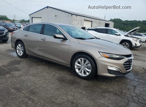 1G1ZD5ST6RF170981 2024 CHEVROLET MALIBU Gray 