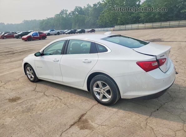 1G1ZD5ST6RF176814 2024 CHEVROLET MALIBU White Հետևի ձախ