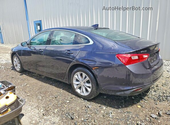 1G1ZD5ST7PF210689 2023 CHEVROLET MALIBU Gray უკანა მარცხენა