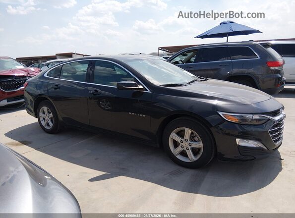 1G1ZD5ST7RF110210 2024 CHEVROLET MALIBU Black Rear interior view