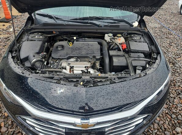 1G1ZD5ST8PF203668 2023 CHEVROLET MALIBU Black უკანა სალონის ხედი