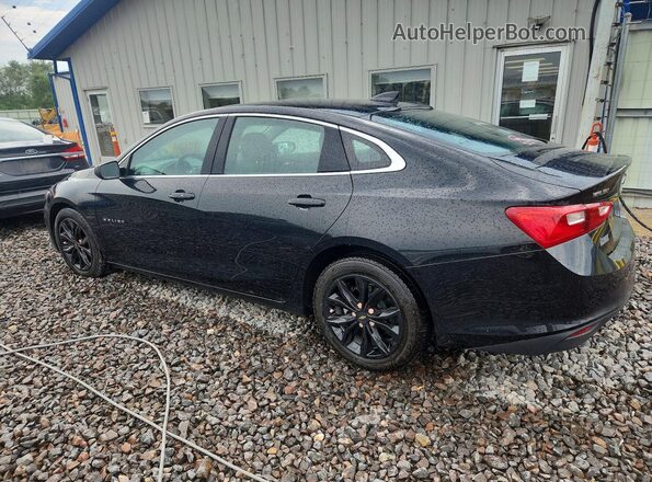 1G1ZD5ST8PF203668 2023 CHEVROLET MALIBU Black უკანა მარცხენა