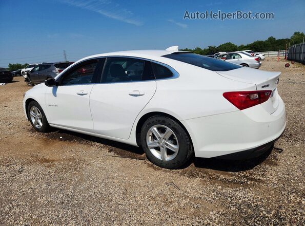 1G1ZD5ST8RF116193 2024 CHEVROLET MALIBU White Rear left