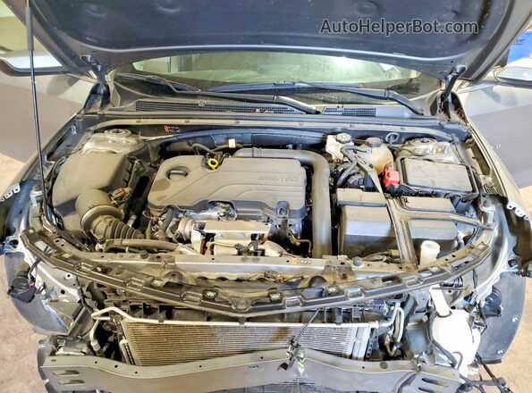 1G1ZD5ST8RF188950 2024 CHEVROLET MALIBU Gray Вид задньої частини салону