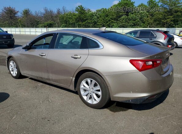 1G1ZD5ST8RF217069 2024 CHEVROLET MALIBU Beige Հետևի ձախ
