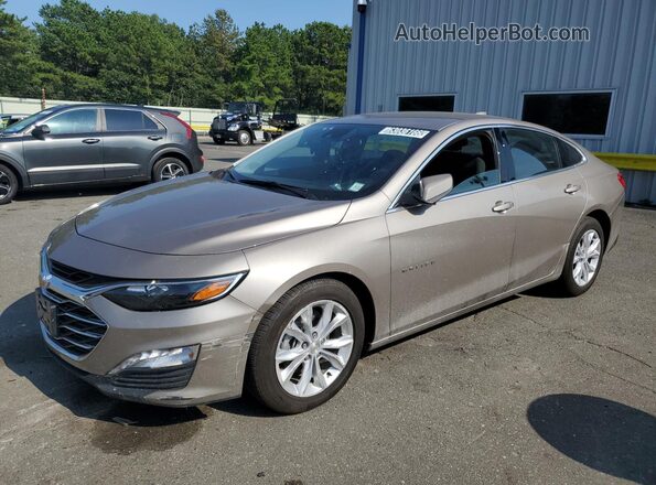 1G1ZD5ST8RF217069 2024 CHEVROLET MALIBU Beige VIN կոդի պիտակի տեսք