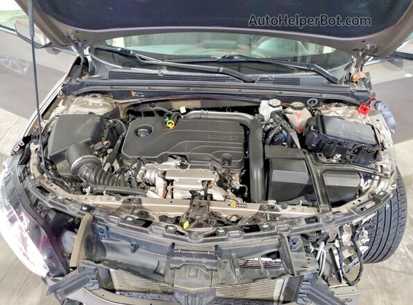 1G1ZD5ST8RF233434 2024 CHEVROLET MALIBU Gray Widok wnętrza z tyłu