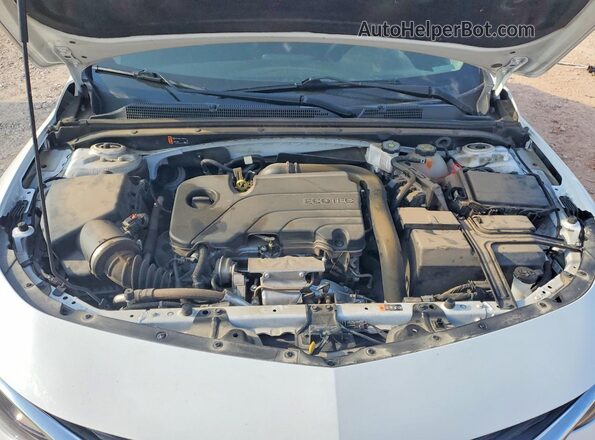 1G1ZD5ST9PF141388 2023 CHEVROLET MALIBU White Widok wnętrza z tyłu