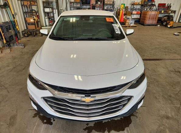 1G1ZD5ST9RF218599 2024 CHEVROLET MALIBU White წინა ხედი
