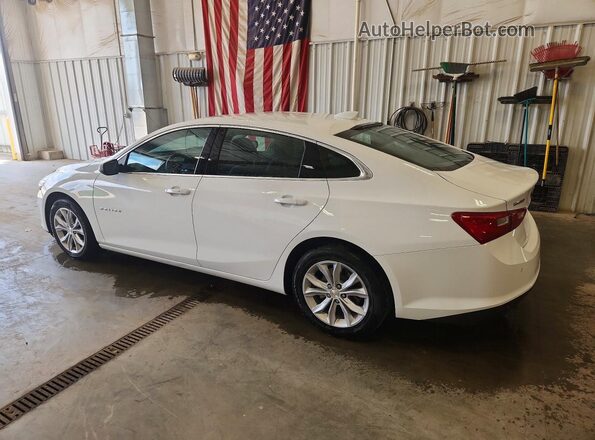 1G1ZD5ST9RF218599 2024 CHEVROLET MALIBU White უკანა მარცხენა