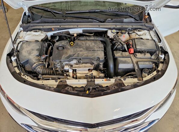1G1ZD5ST9RF218599 2024 CHEVROLET MALIBU White უკანა სალონის ხედი