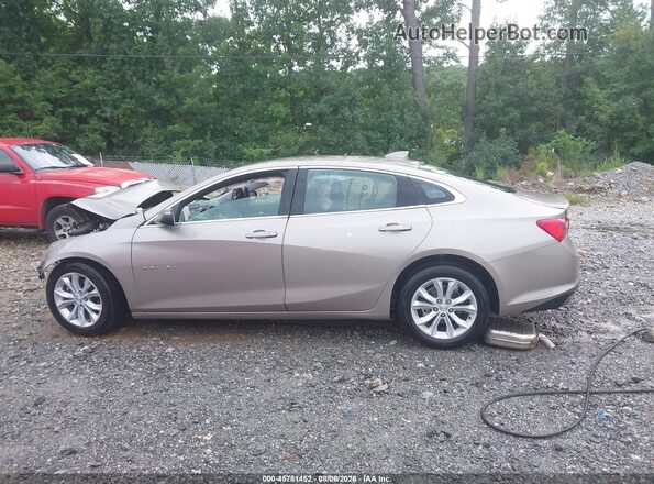 1G1ZD5ST9SF118542 2025 CHEVROLET MALIBU Gray Widok wnętrza z tyłu