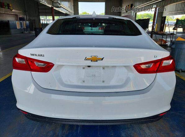 1G1ZD5STXPF208628 2023 CHEVROLET MALIBU Белый Вид сзади