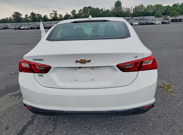1G1ZD5STXPF215966 2023 CHEVROLET MALIBU White Widok z tyłu