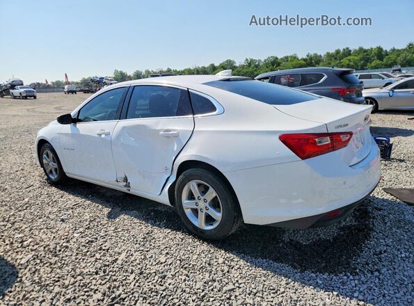 1G1ZD5STXRF121668 2024 CHEVROLET MALIBU White Задня ліва чверть