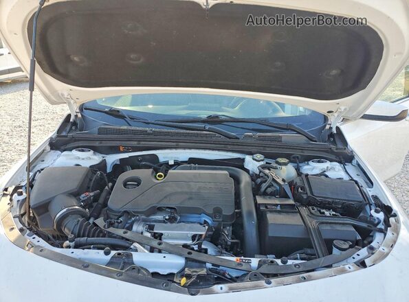 1G1ZE5ST2PF143562 2023 CHEVROLET MALIBU Белый Вид задней части салона
