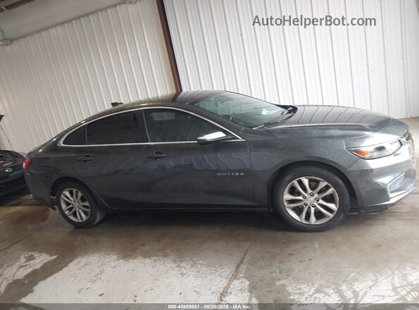 1G1ZE5ST7GF314659 2016 CHEVROLET MALIBU Gray უკანა სალონის ხედი