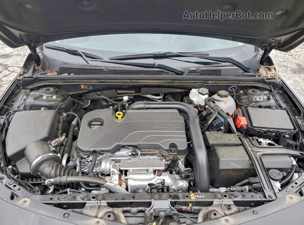 1G1ZE5ST8SF135538 2025 CHEVROLET MALIBU Black Вид задньої частини салону