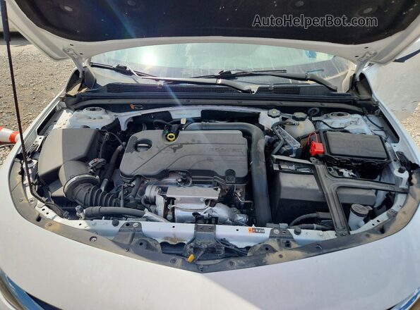1G1ZG5ST2RF247739 2024 CHEVROLET MALIBU White უკანა სალონის ხედი