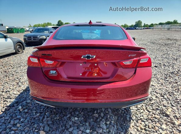 1G1ZG5ST8PF142927 2023 CHEVROLET MALIBU Red Вид ззаду