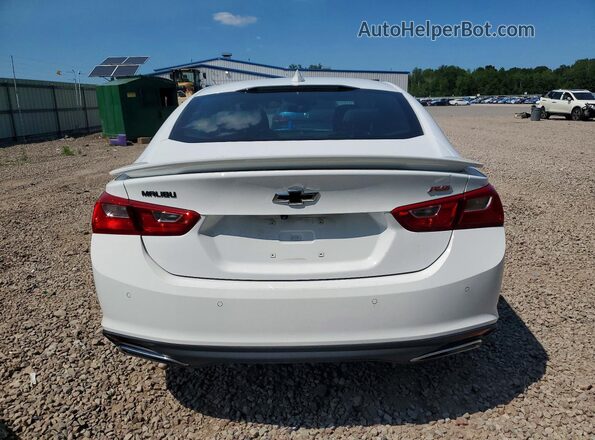 1G1ZG5STXRF114081 2024 CHEVROLET MALIBU White Հետևի տեսք
