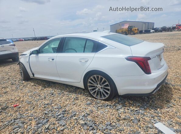 1G6DN5RK3L0146212 2020 CADILLAC CT5 White Задня ліва чверть