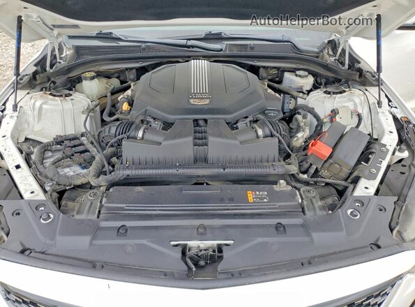 1G6DN5RW6N0111394 2022 CADILLAC CT5 Белый Вид задней части салона