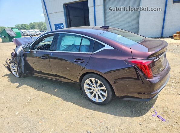 1G6DS5RK0L0129652 2020 CADILLAC CT5 Maroon Հետևի ձախ